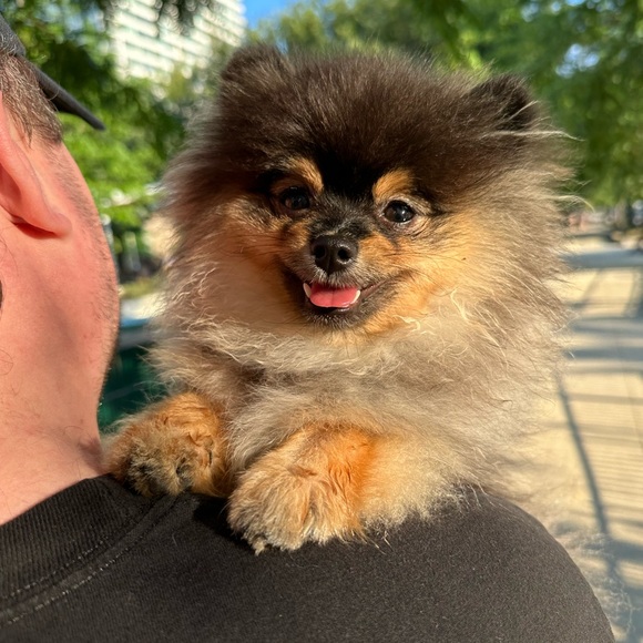 Meet your Posher, Regina! - Picture 7 of 16